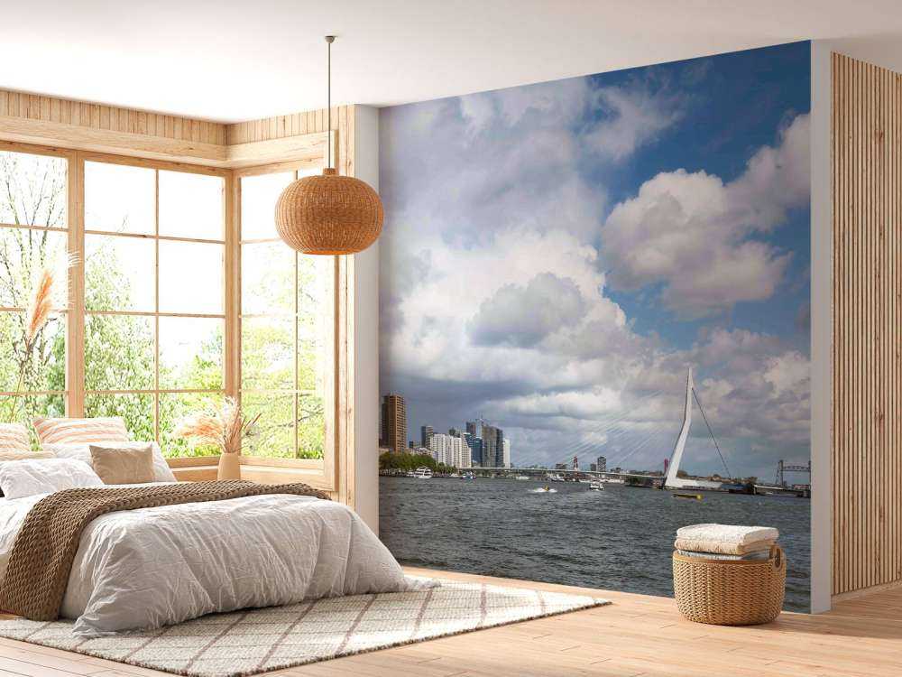 Stadszicht met Erasmusbrug