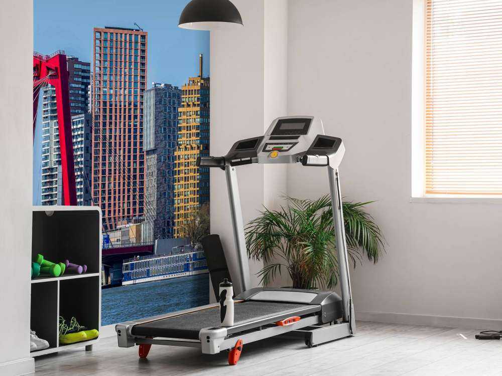 Willemsbrug en Rotterdamse Skyline