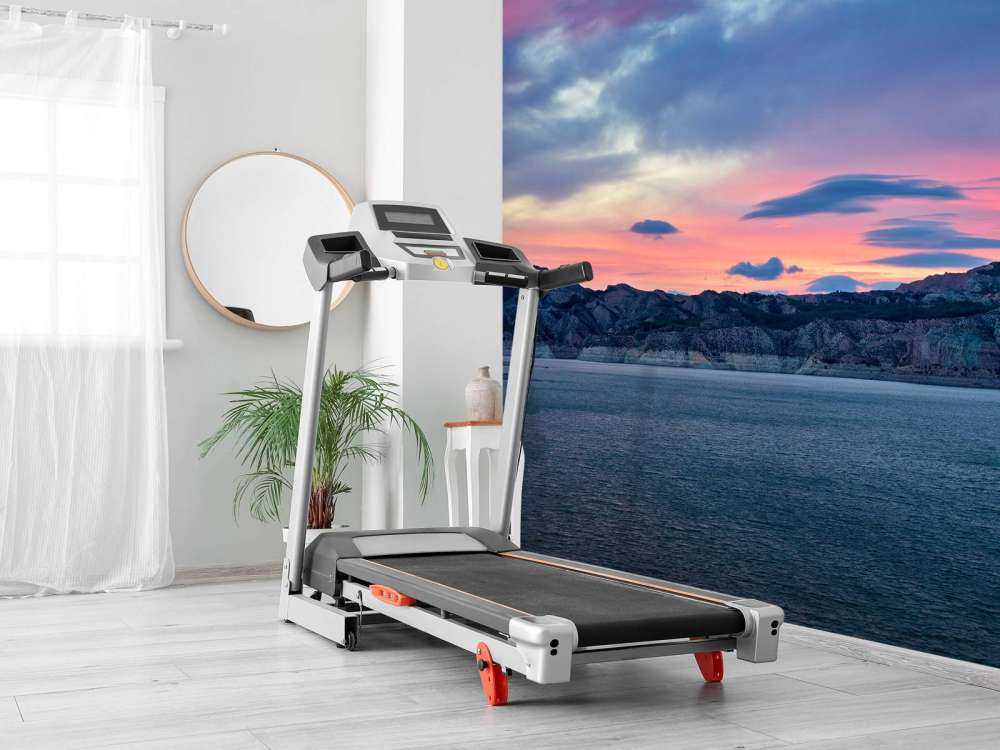 Meertje met zonsondergang