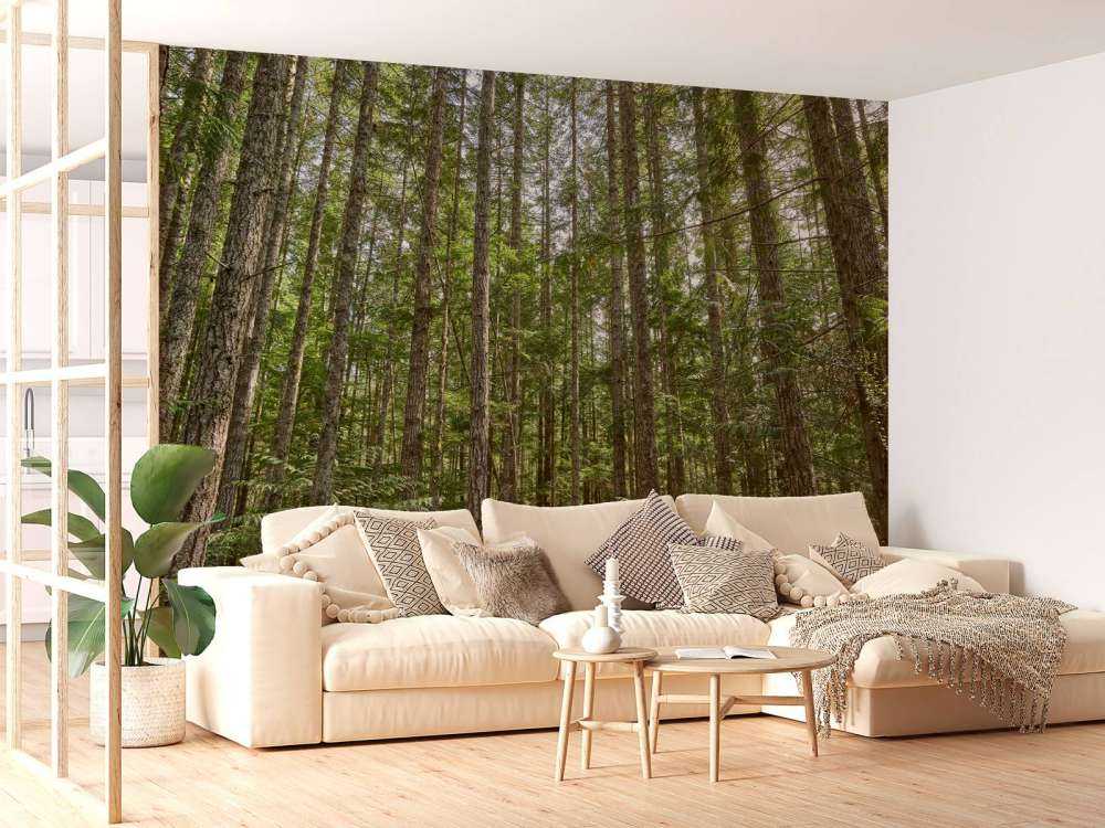 Dunne bomen in het bos