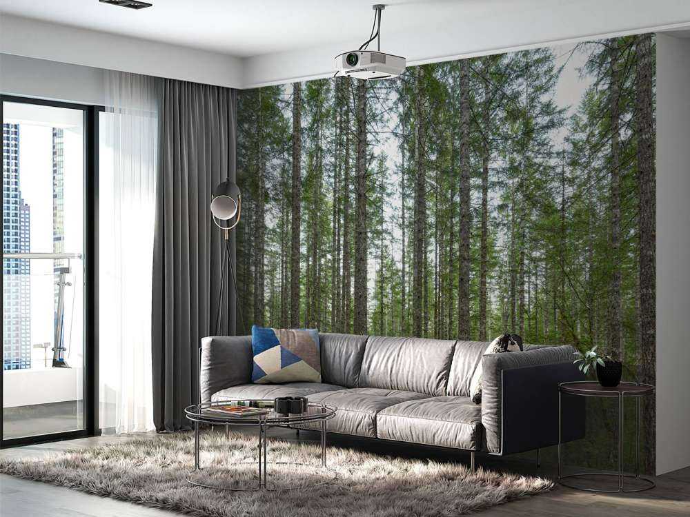Hoge rechte bomen