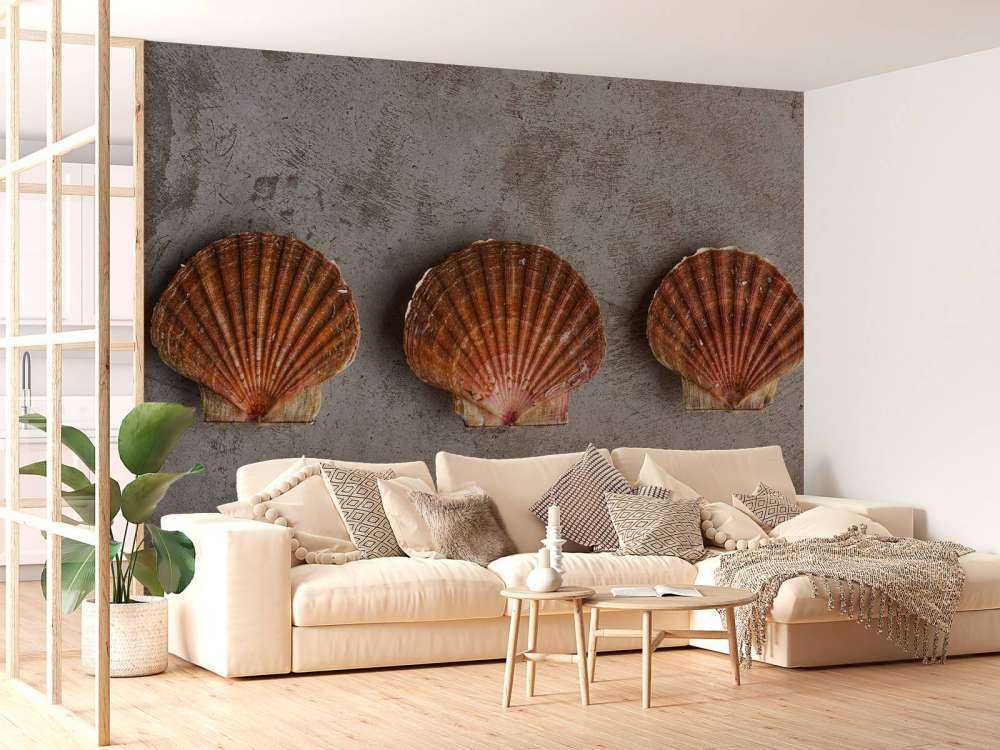 Drie schelpen