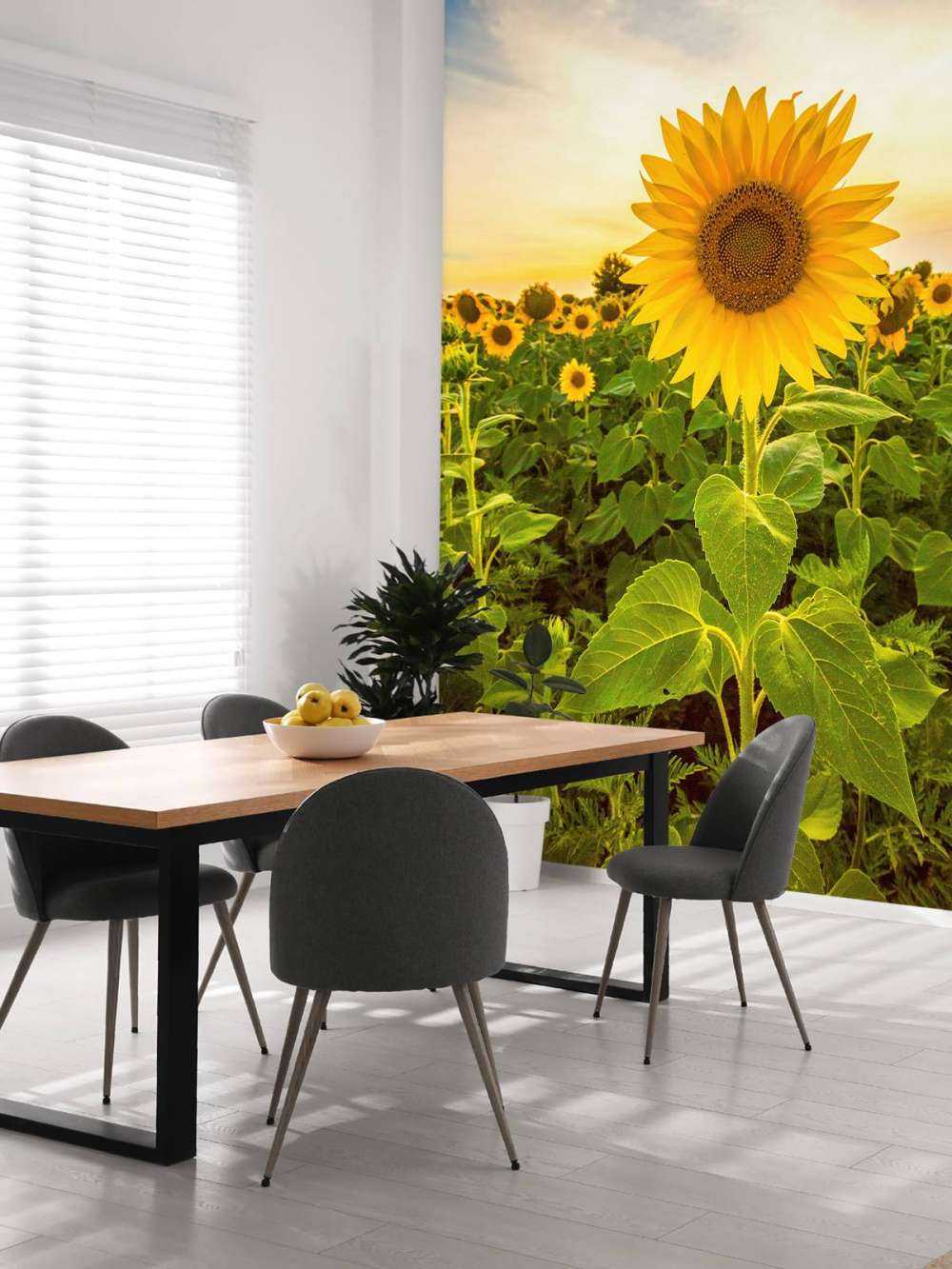 Zonnebloem in het veld