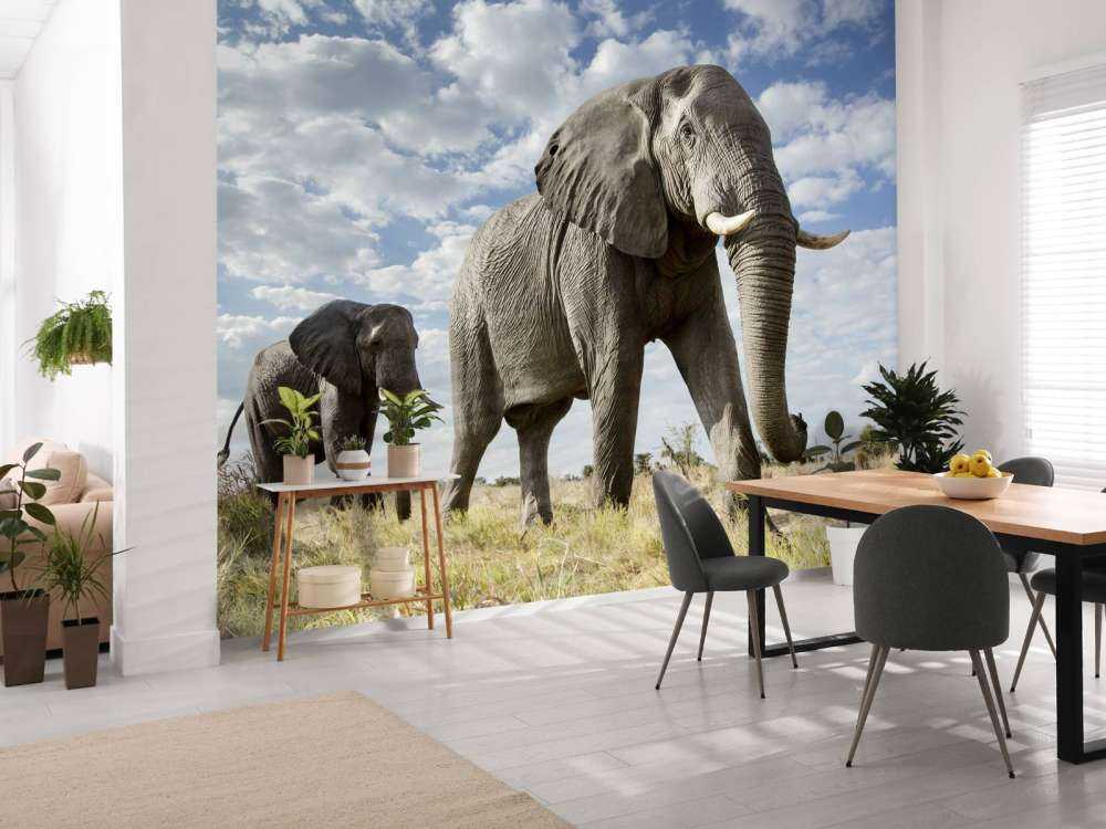 Passerende olifanten