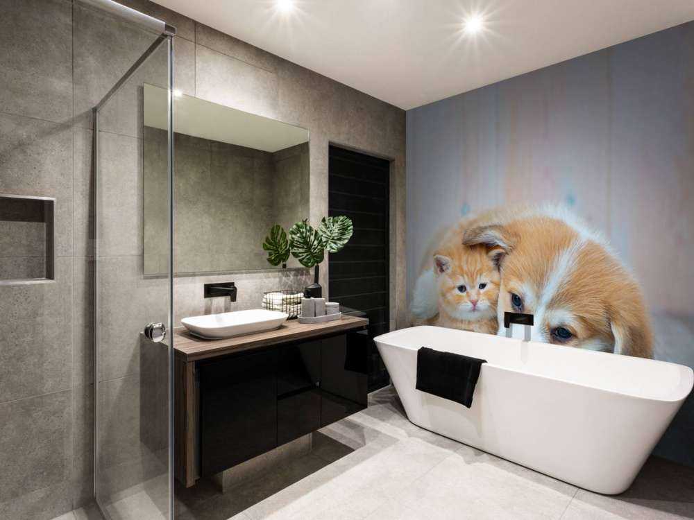 Poezen behang. Foto van een poesje en puppy.