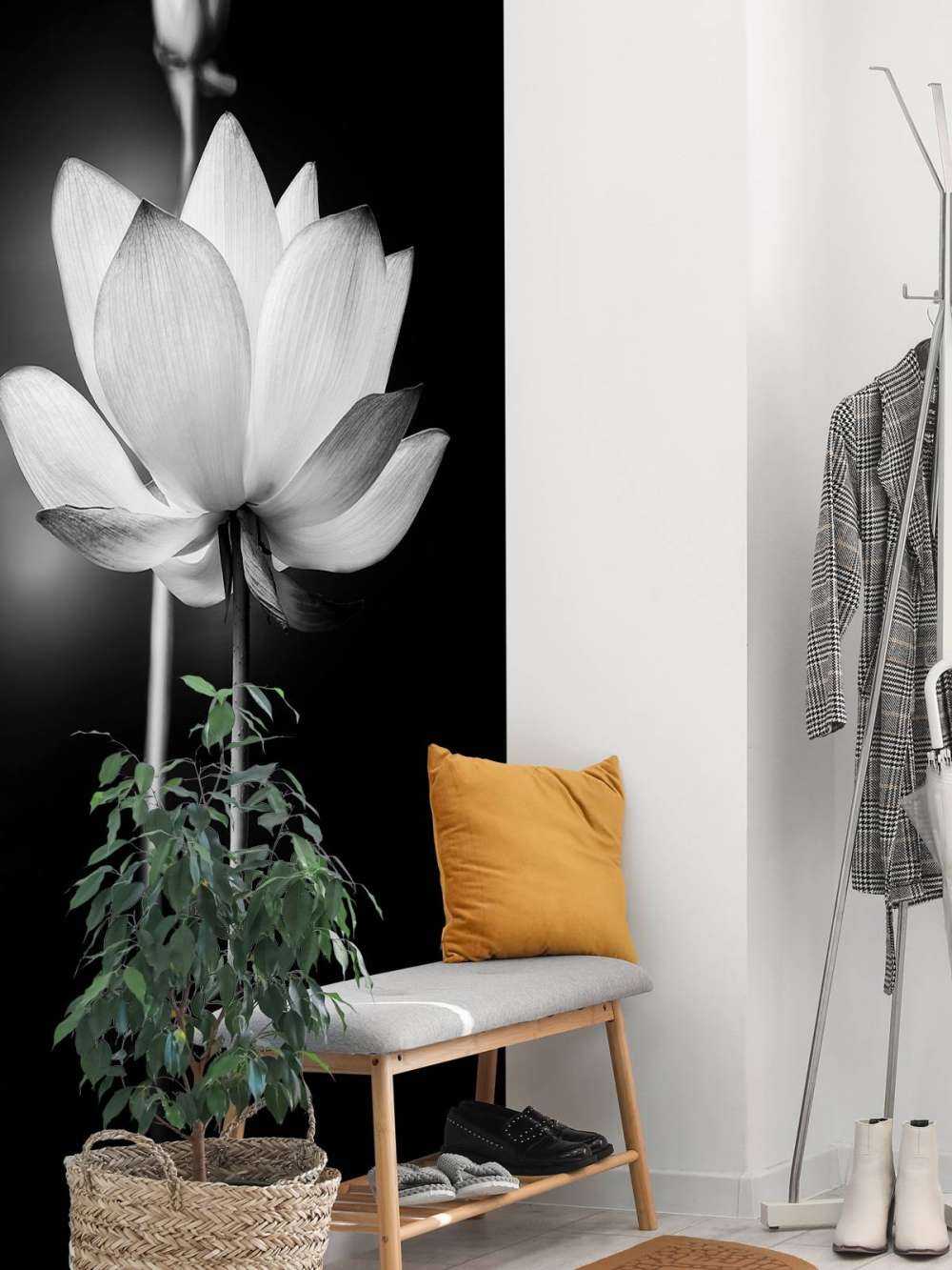Lotusbloemen zwart-wit