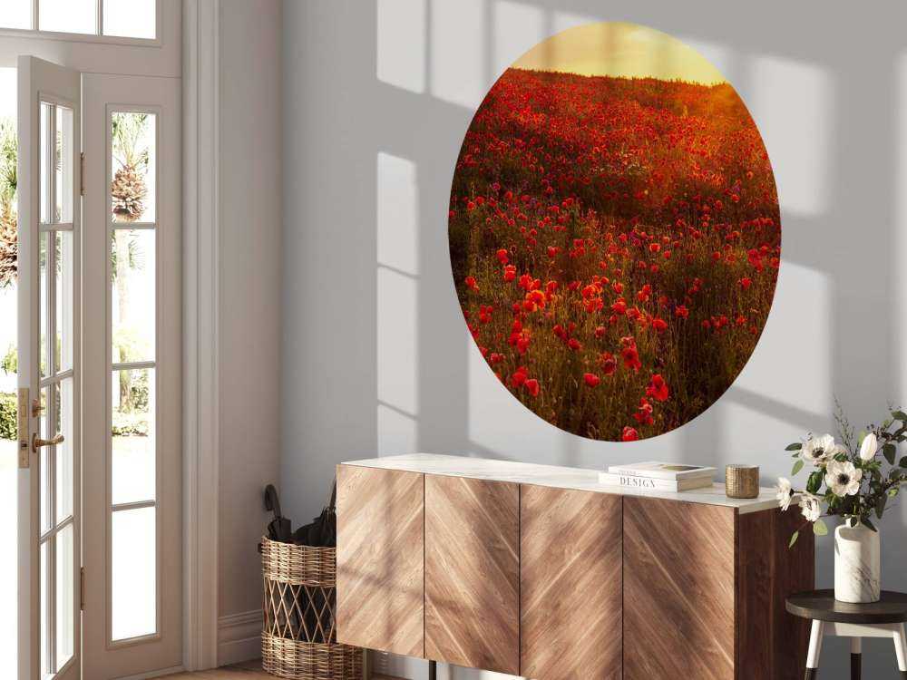 Klaprozen op een heuvel