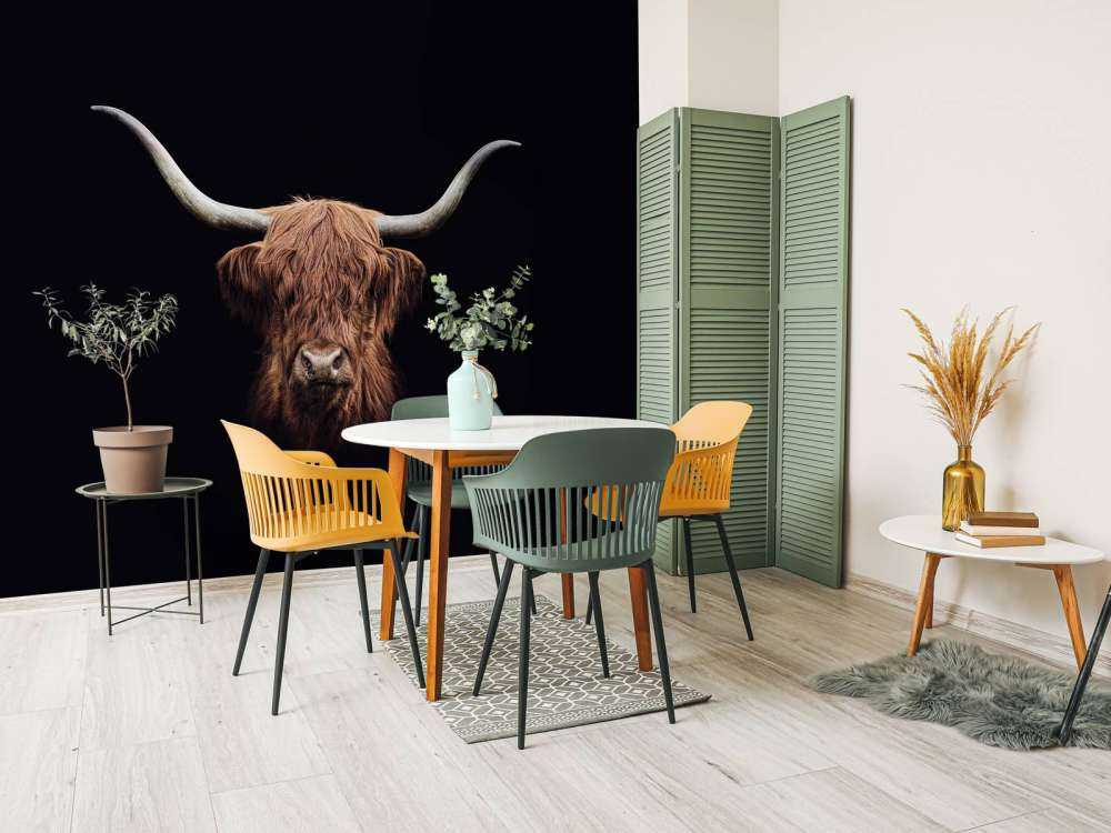 Vintage Schotse hooglander