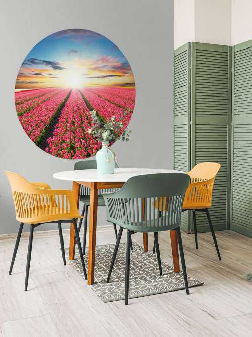 Tulpen met opkomende zon