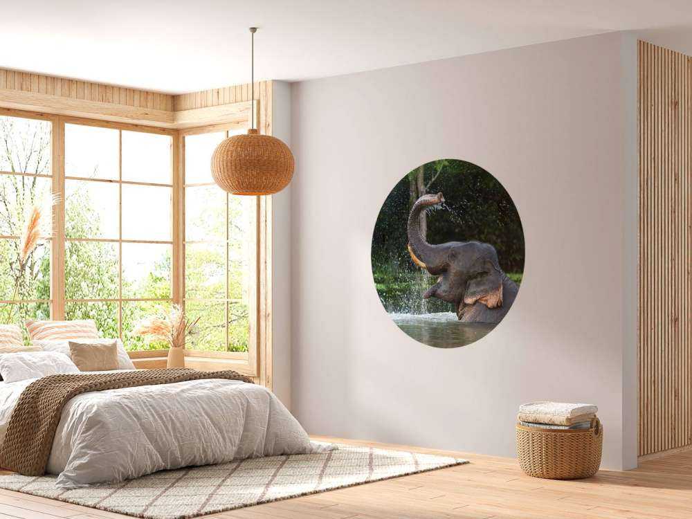 Olifant in water
