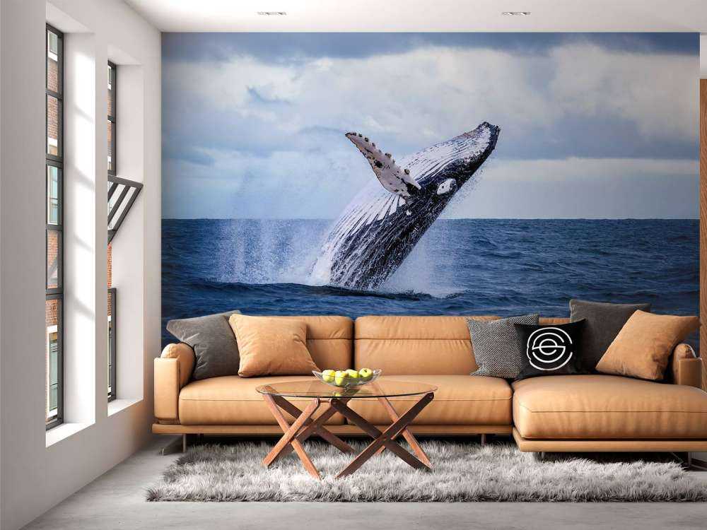 Springende walvis