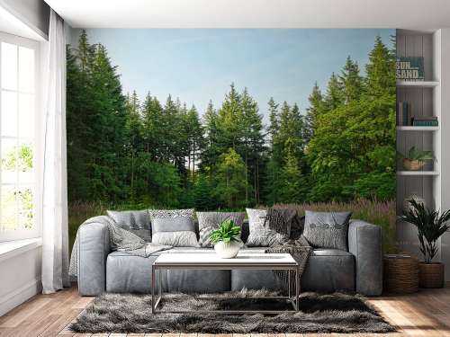 Open plek in het bos