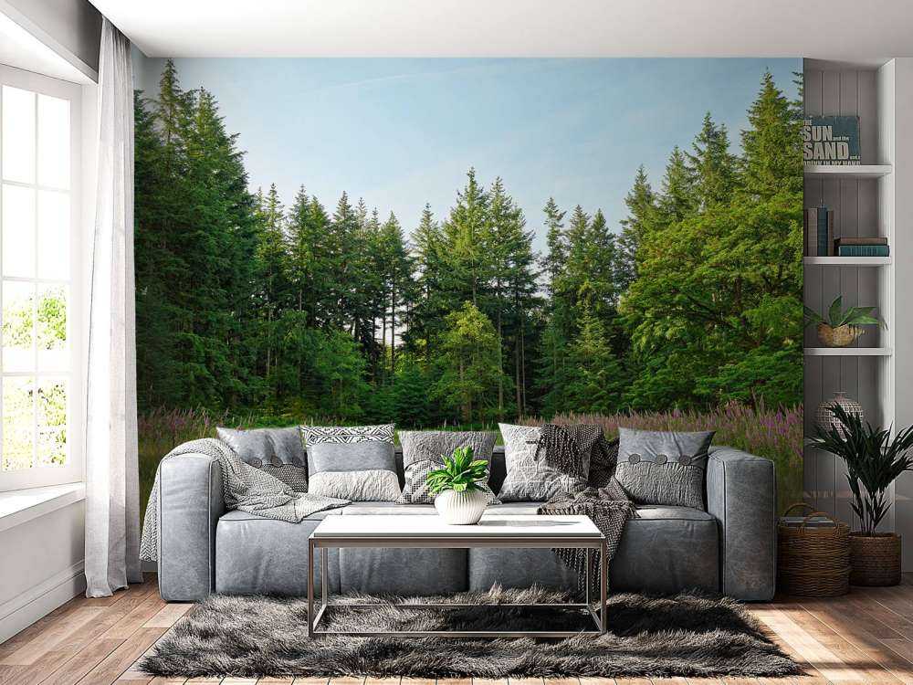 Verlaten plek in het bos