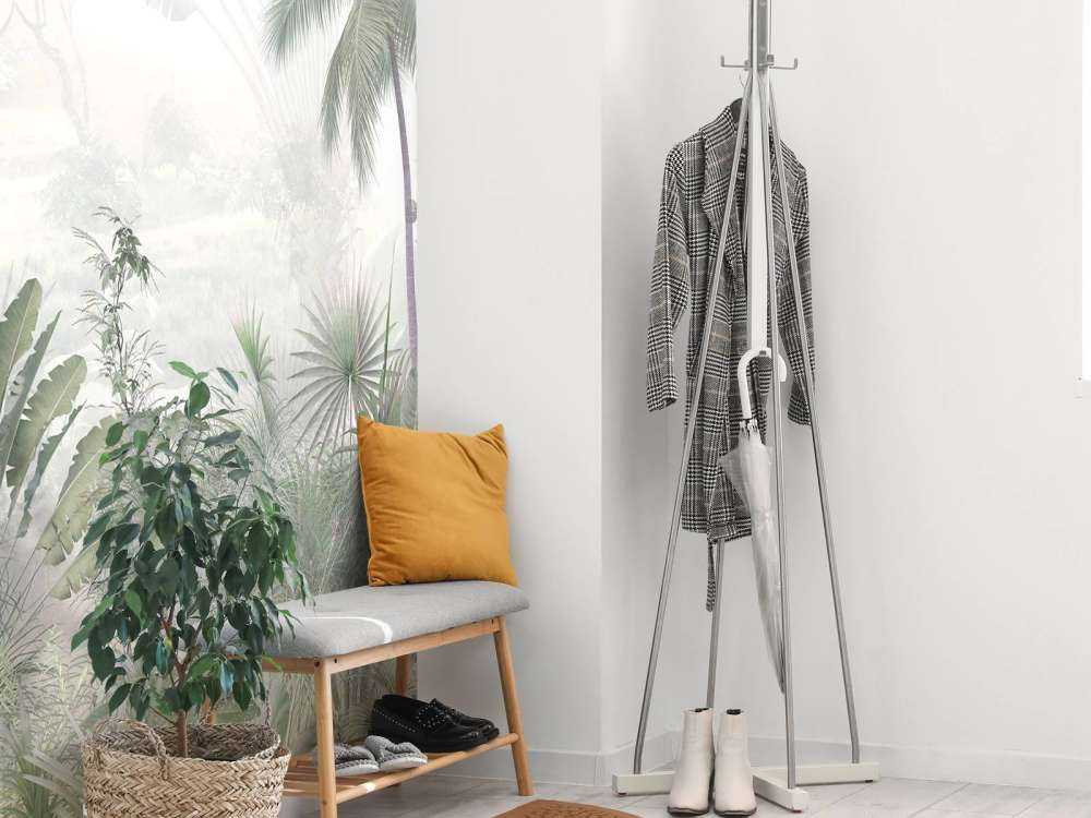 Mistige Jungleochtend