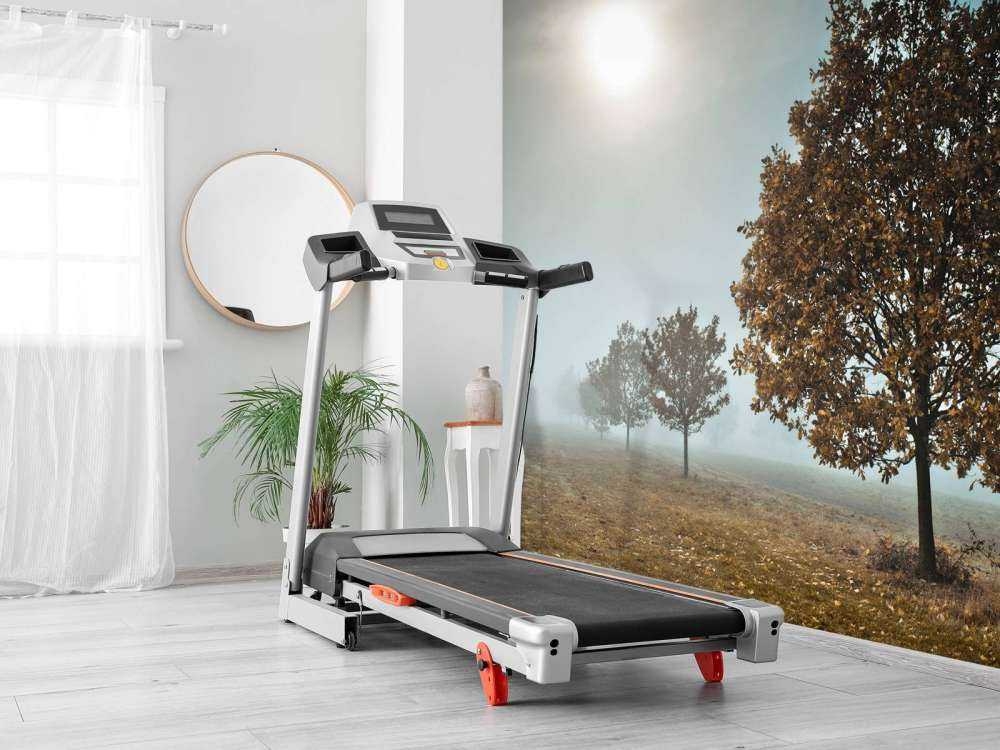 Line of trees in the mist