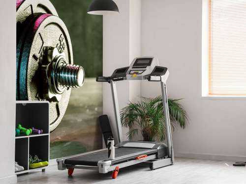 Fitness sport dumbell