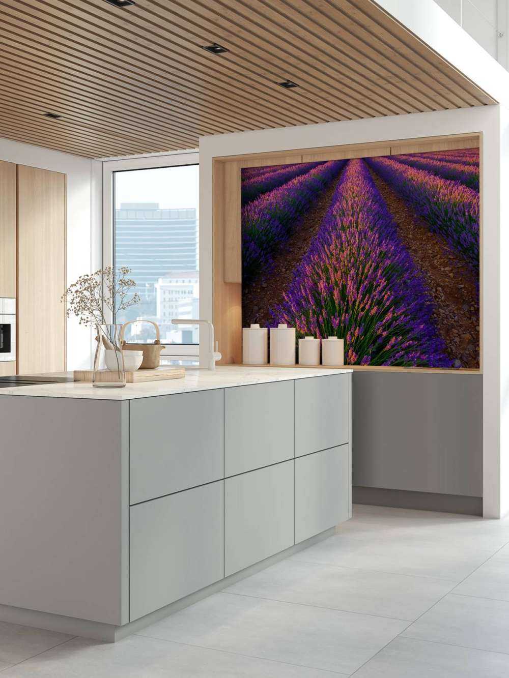 Lavendel bij zonlicht