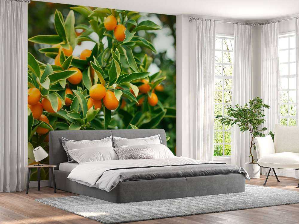 Fruitboom 