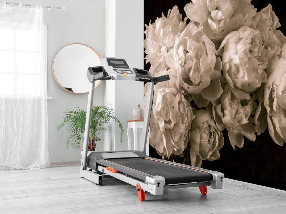 Bos pioenrozen vintage