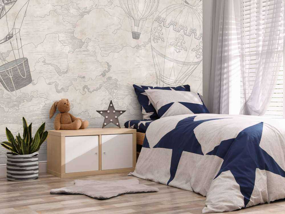 Luchtballonnen met een uitzicht