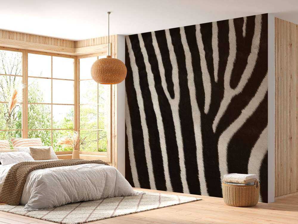 Zebra vacht