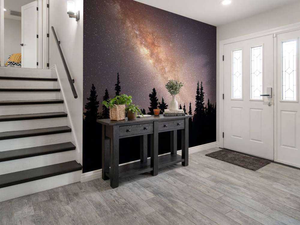 Melkweg boven silhouet van bomen