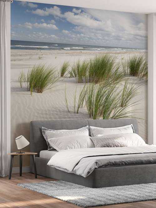 Strand met duinplanten