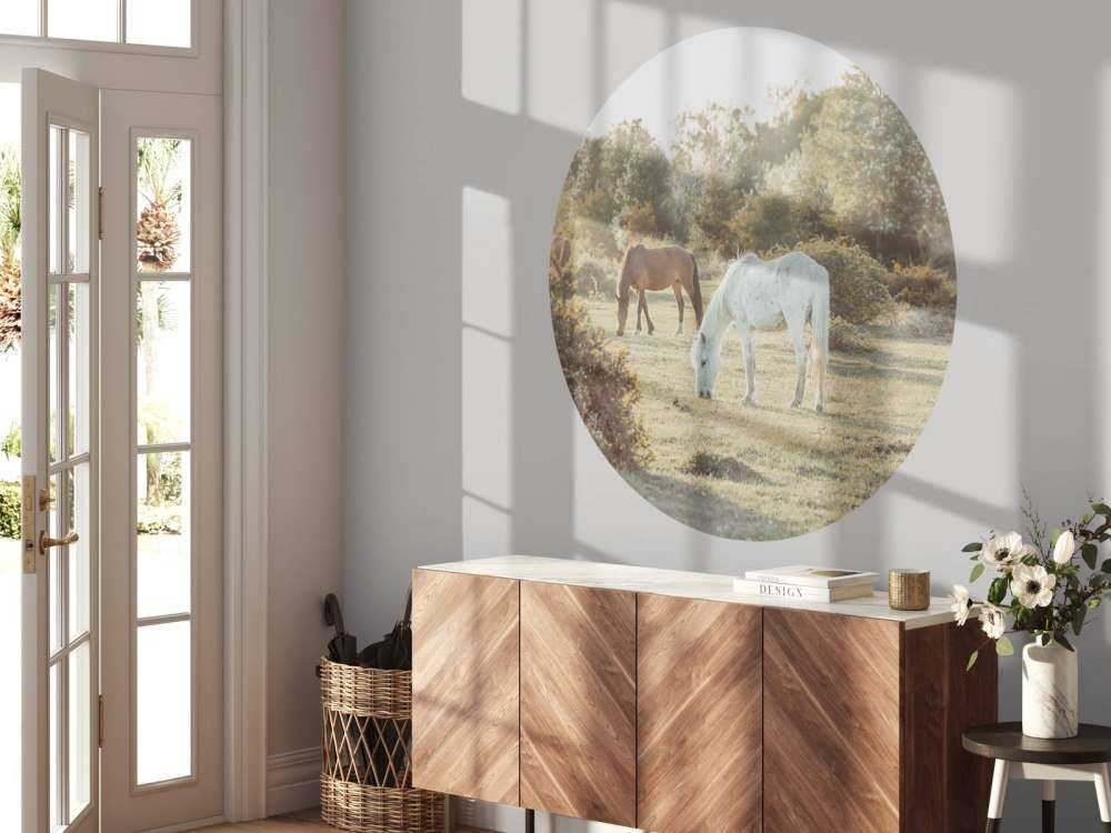 Grazende paarden