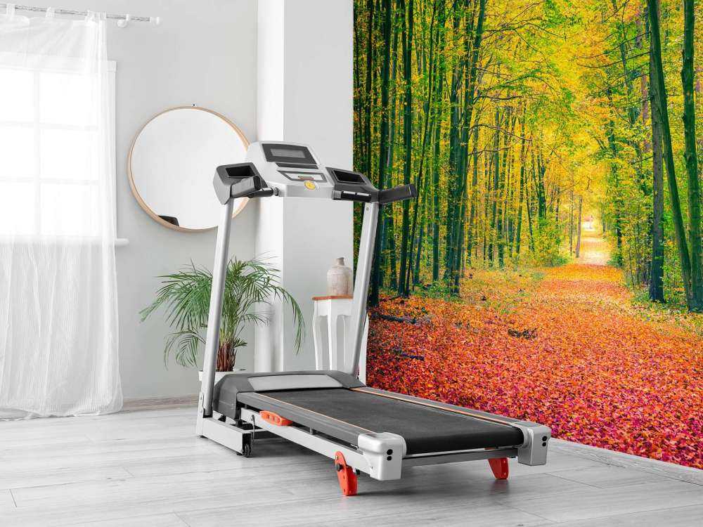 Een bosweg in de herfst