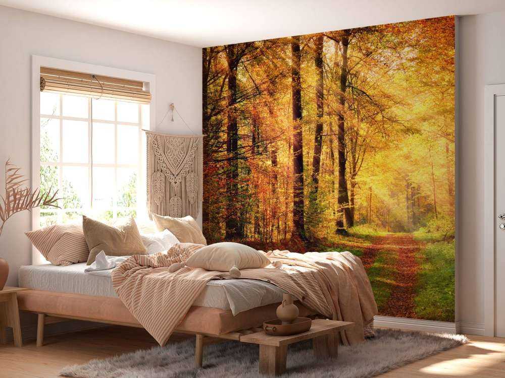 Zonsopkomst in het bos