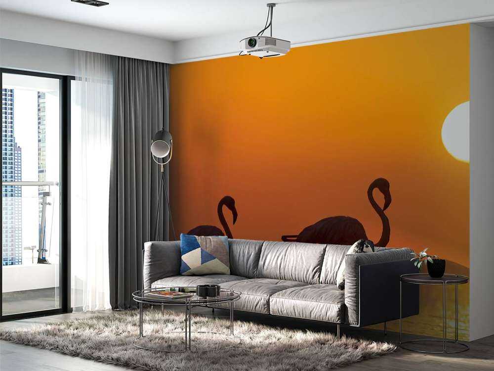 Flamingo's bij zonsondergang