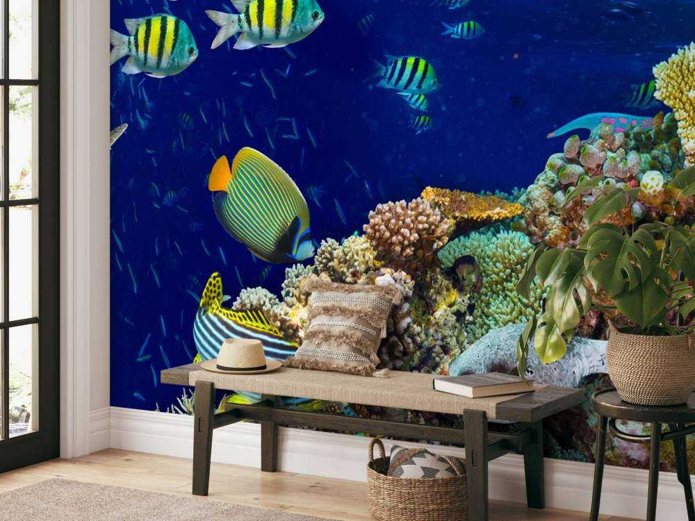 Zeeleven bij een koraalrif