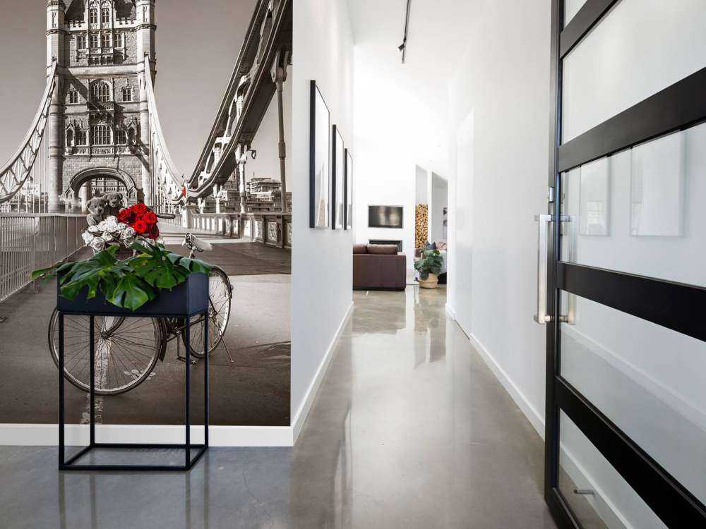 Puppy's in een fietsmand