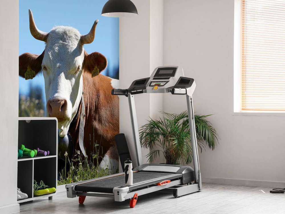 Liggende Koe en Kalf