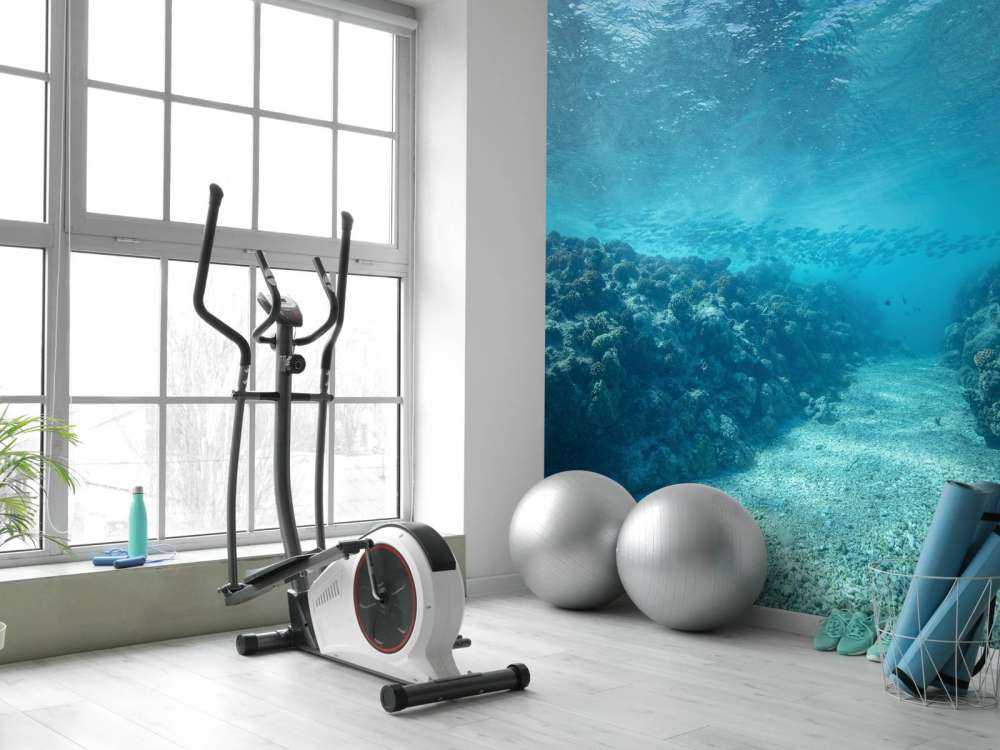 Onderwaterwereld met koraal