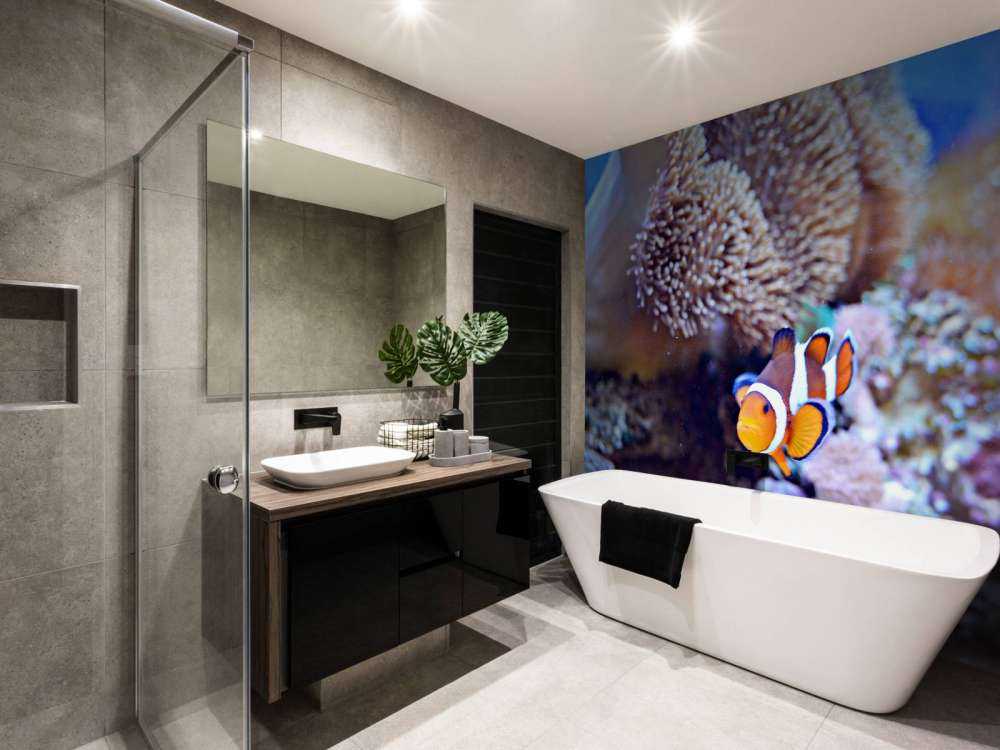 Anemoonvis in een koraalrif