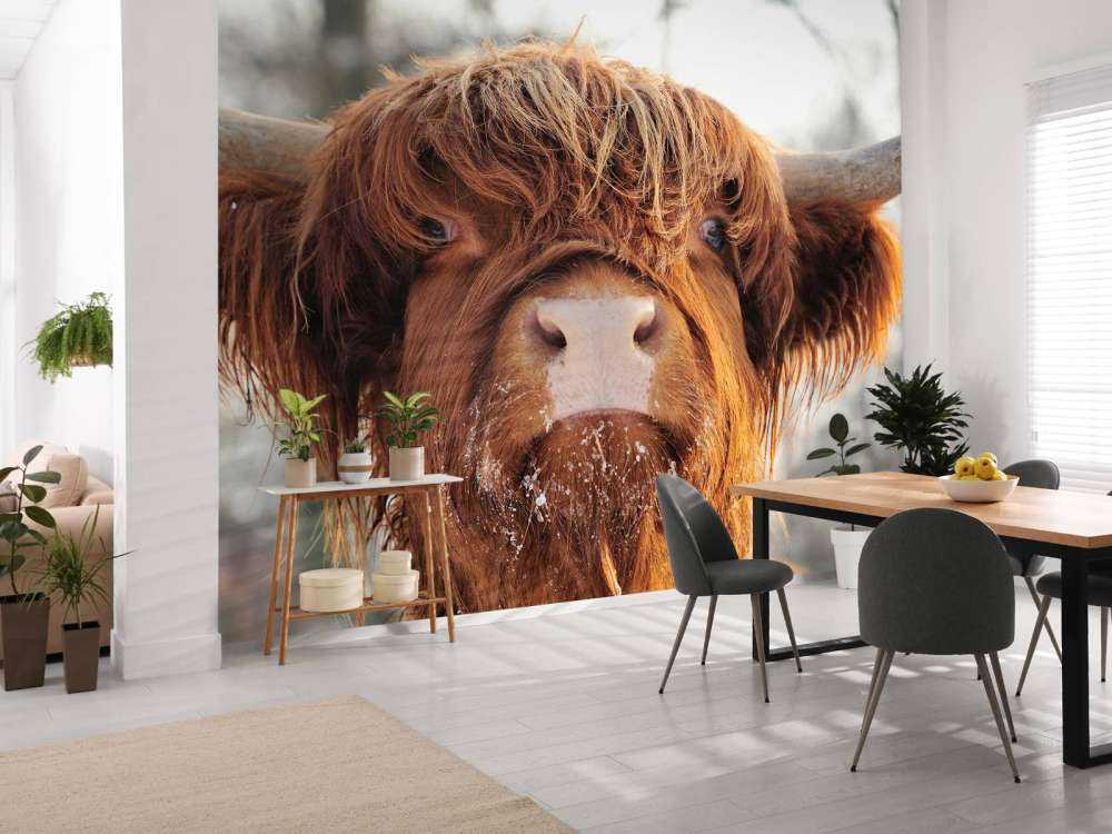 Grappige Portretfoto van Hooglander