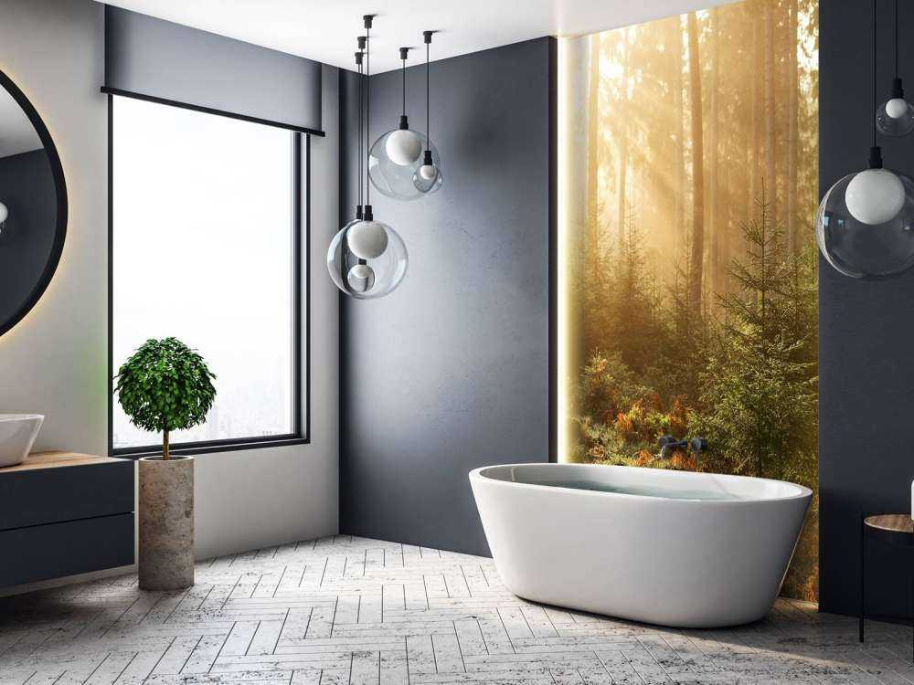 Zonnestralen door het bos