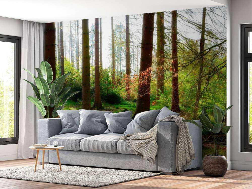 Herfstbos met helder zonlicht