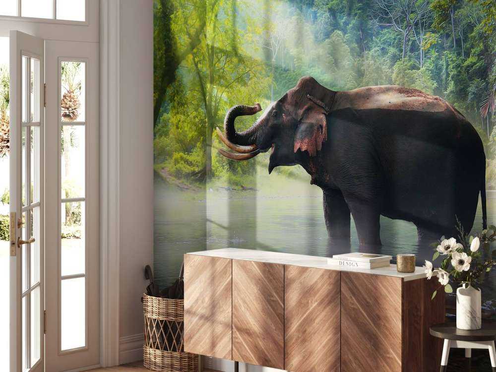 Wilde olifant in de jungle