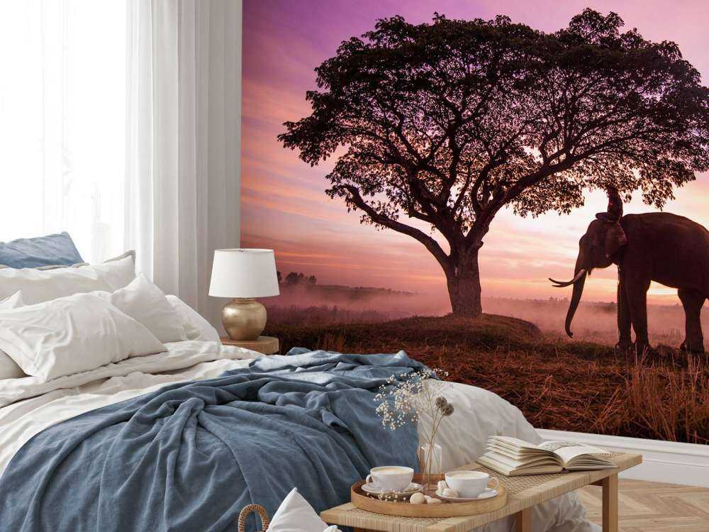 Olifant bij een unieke zonsondergang