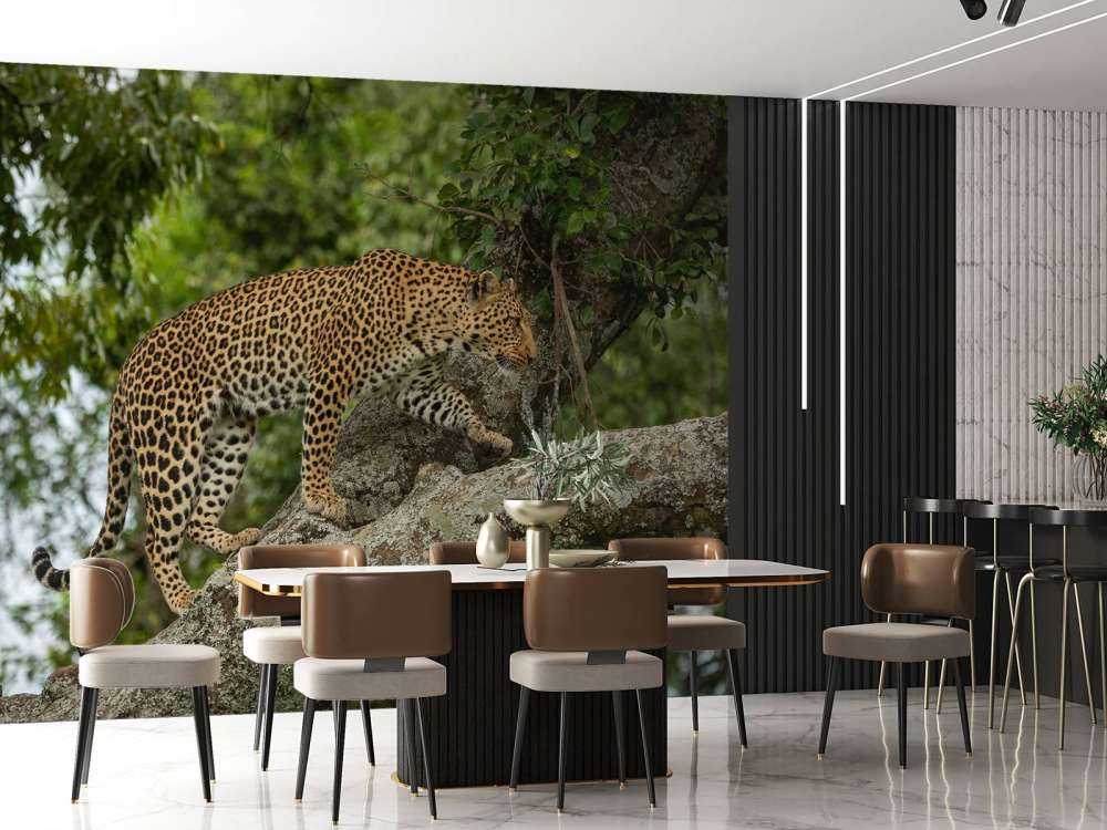 Luipaard klimt in een boom