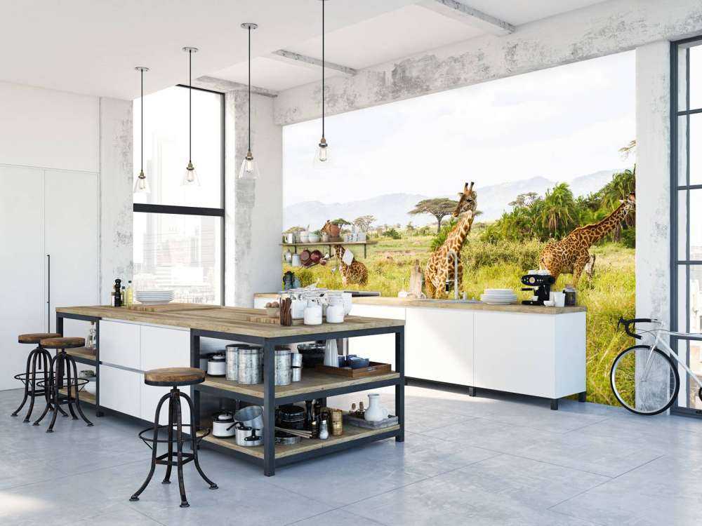 Giraffen in Tanzania