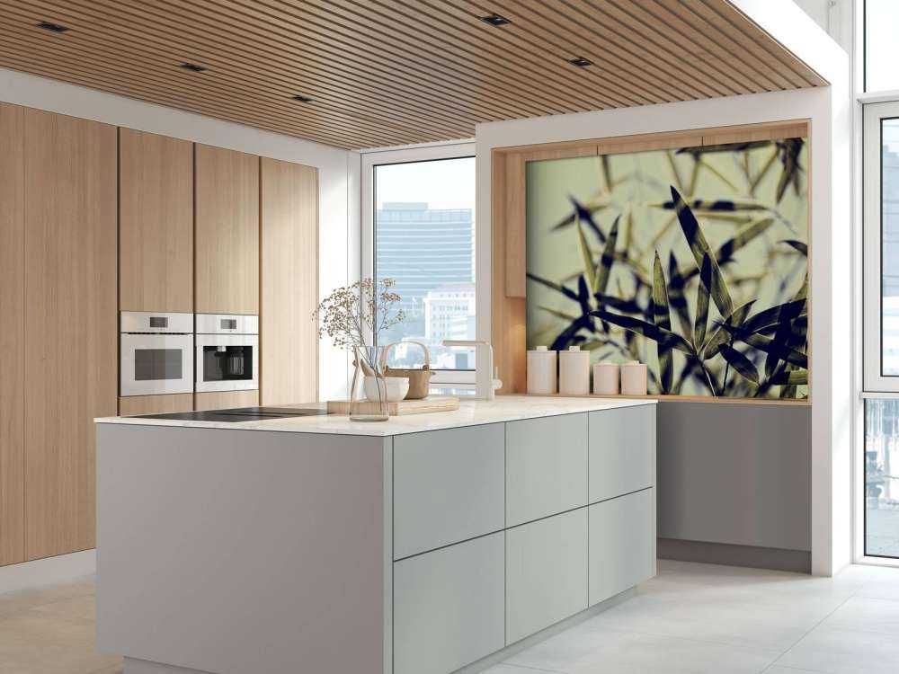 Bamboe bladeren in de zon