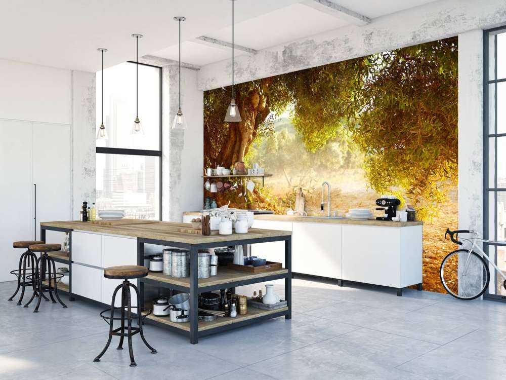 Grote oude olijfboom
