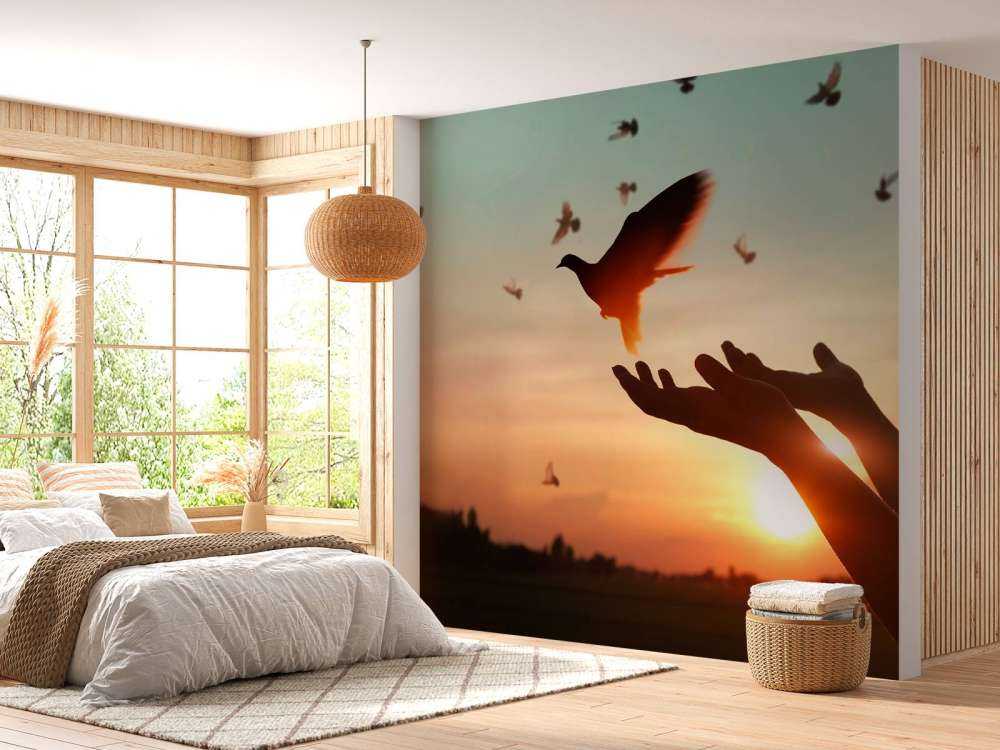 Duif bij zonsondergang