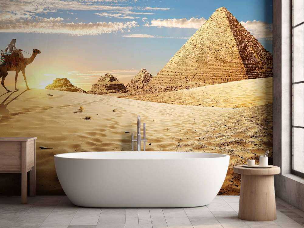 Kameel in de woestijn bij zonsondergang