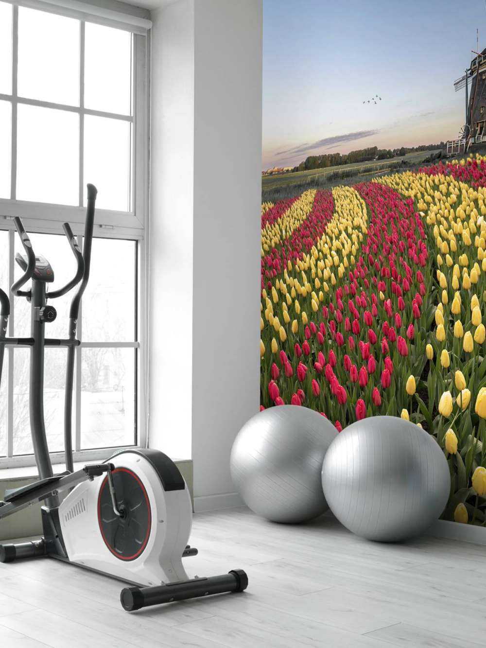 Nederlandse tulpenveld