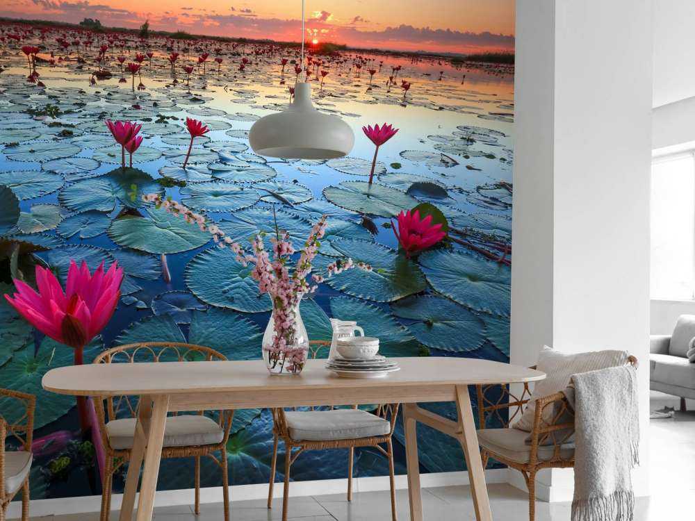 Lotusbloem bij zonsopgang