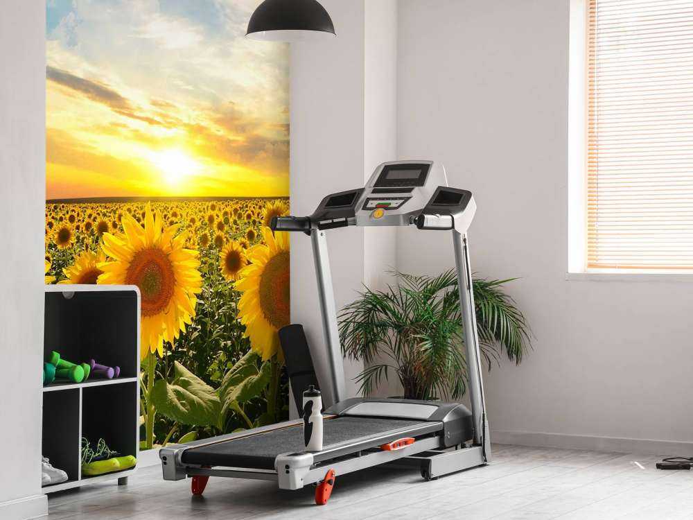 Zonnebloemen bij zonsopkomst